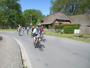RTF Celle Rocky 52